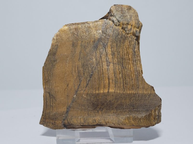 mati-tou-tigri-min2909-lavriostone