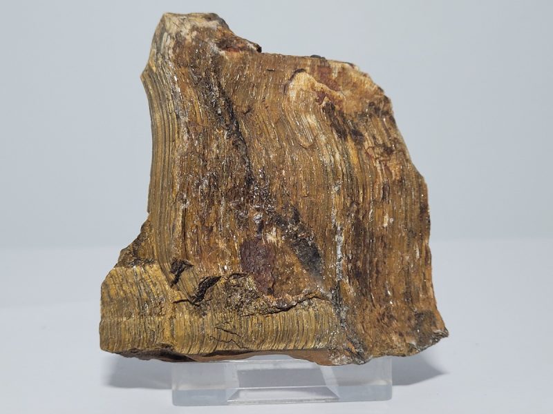 mati-tou-tigri-min2909-lavriostone