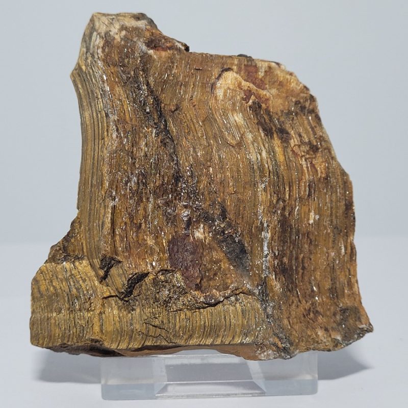 mati-tou-tigri-min2909-lavriostone