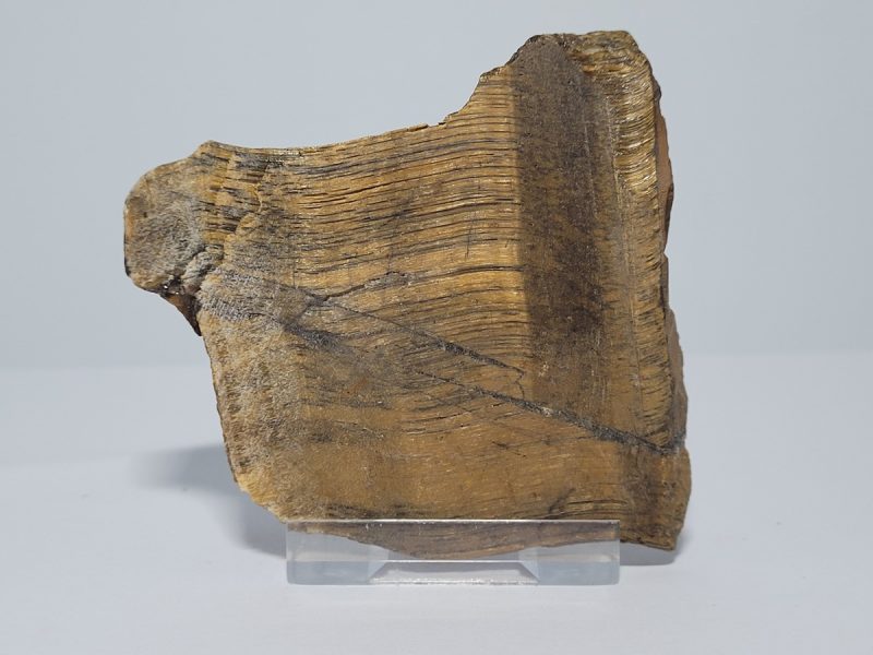 mati-tou-tigri-min2909-lavriostone